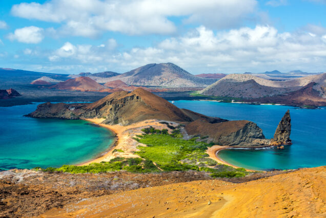 Bartolome Island- Daytour